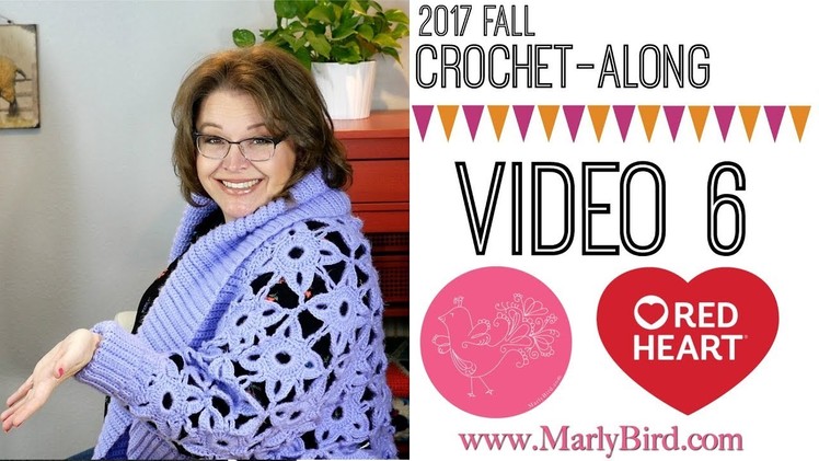 Crochet Along Video 6