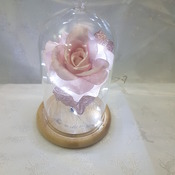 Enchanting light up rose made to order