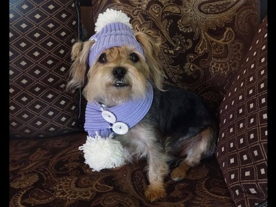 Gorro y bufanda para perritos.How to crochet dog hat and scarf