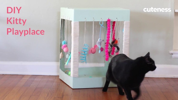 How to Build a Kitty Play Place - Cuteness.com