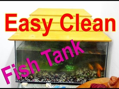 How to Clean an Aquarium Very Easy
