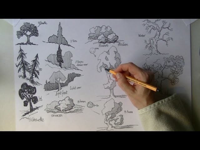 How to draw TREES and landscape - easy tutorial for beginners