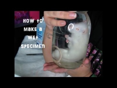 How to make a wet specimen