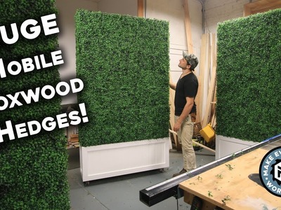 Making 5 HUGE Boxwood Hedges