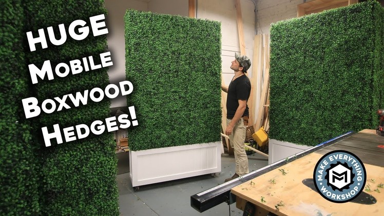 Making 5 HUGE Boxwood Hedges