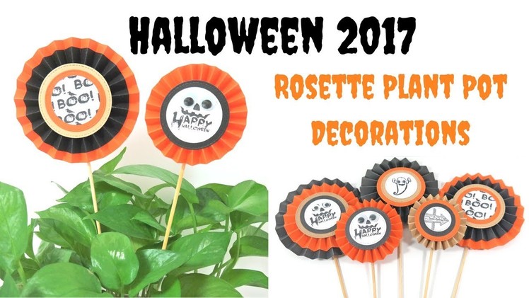 Very Easy Rosette Plant home decor | Video Tutorial