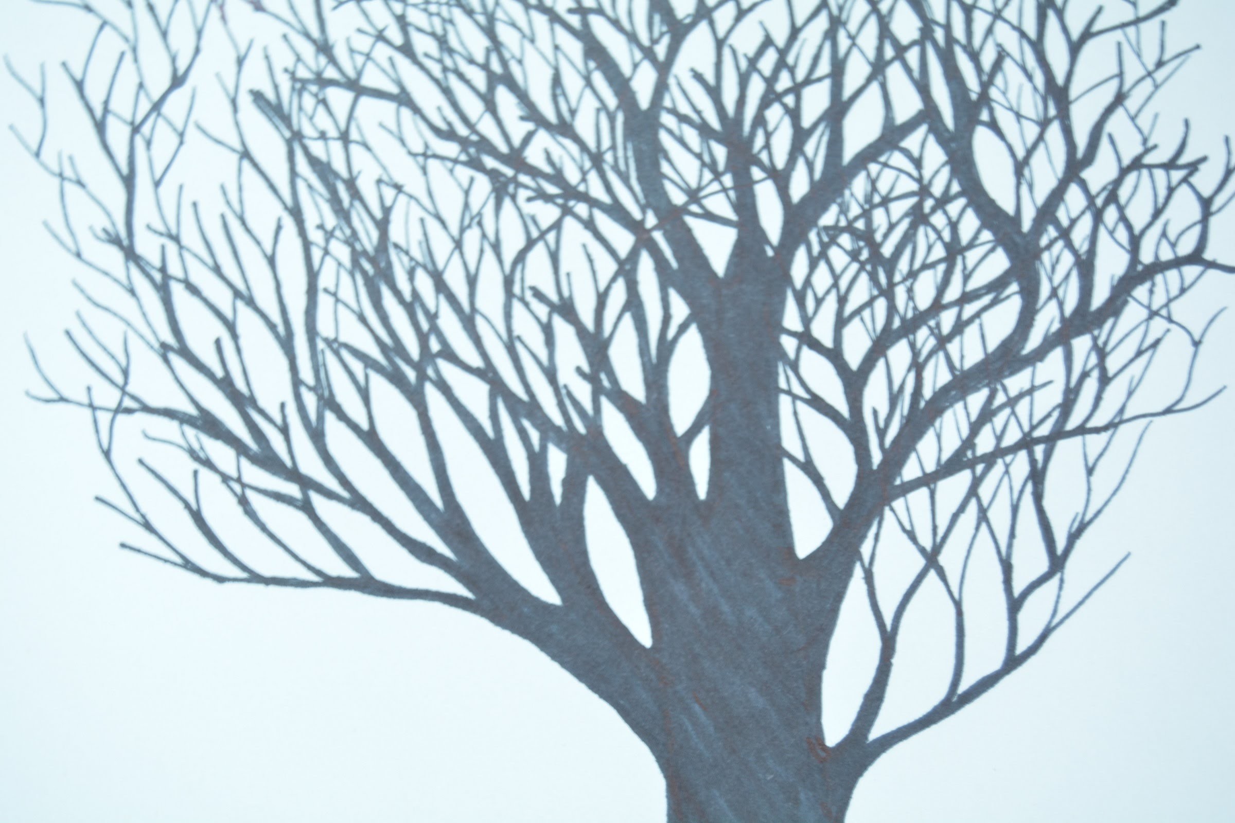 how-to-draw-a-tree-without-leaves