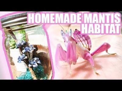 How To Make a Homemade Praying Mantis Habitat