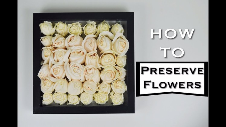 How To: PRESERVE FLOWERS