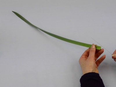 Ikebana tips by Junko #19: are your daffodils really finished?