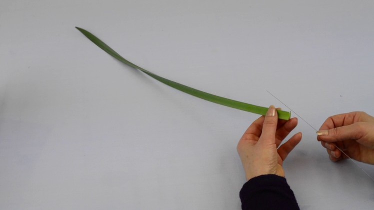 Ikebana tips by Junko #19: are your daffodils really finished?