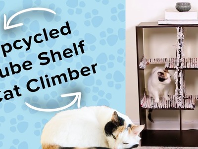 Upcycled Shelf Cat Tree