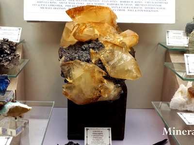 Video of the 2017 Tucson Gem & Mineral Show® Displays