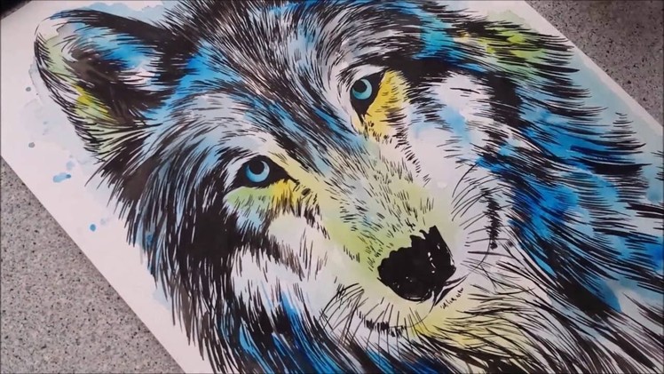 Wolf - Speed painting by Fiona-Clarke.com