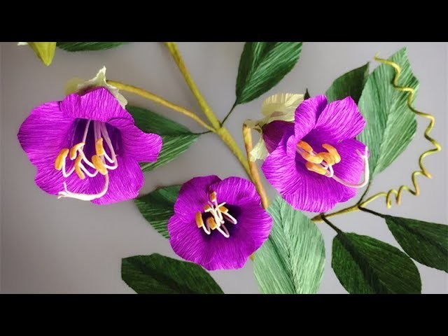 ABC TV | How To Make Cobaea Scandens Paper Flower From Crepe Paper - Craft Tutorial
