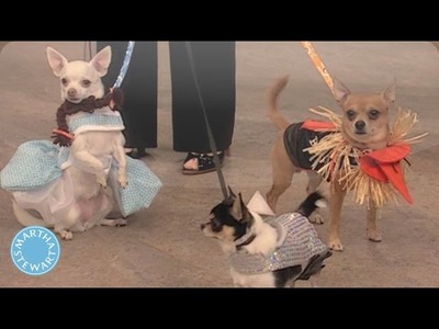 Best in Show: Halloween Dog Costumes - Martha Stewart