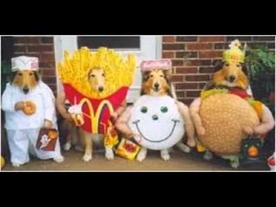 Dog Costumes