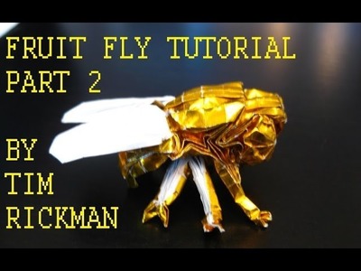 Fruit Fly Tutorial, Tim Rickman (Part 2)