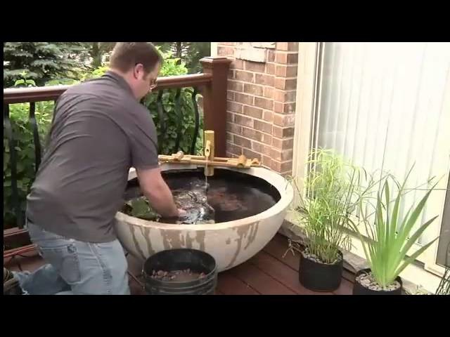 How To Build A Patio Pond Indoors or Outdoors or on your Balcony