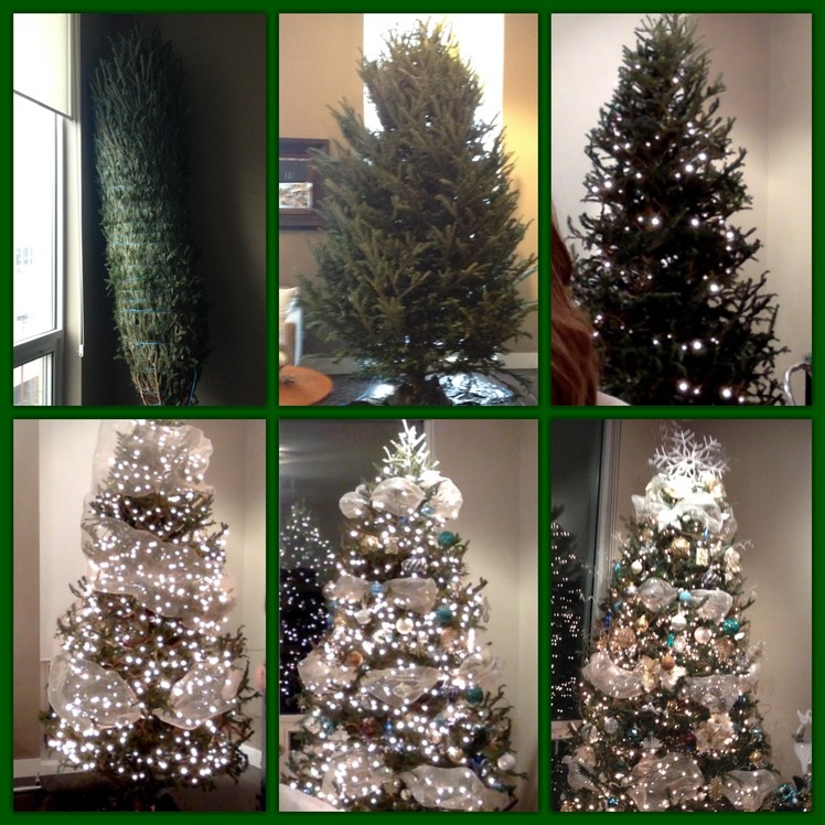 How To: Decorate a Christmas Tree!