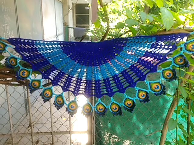 My Peacock Shawl. 