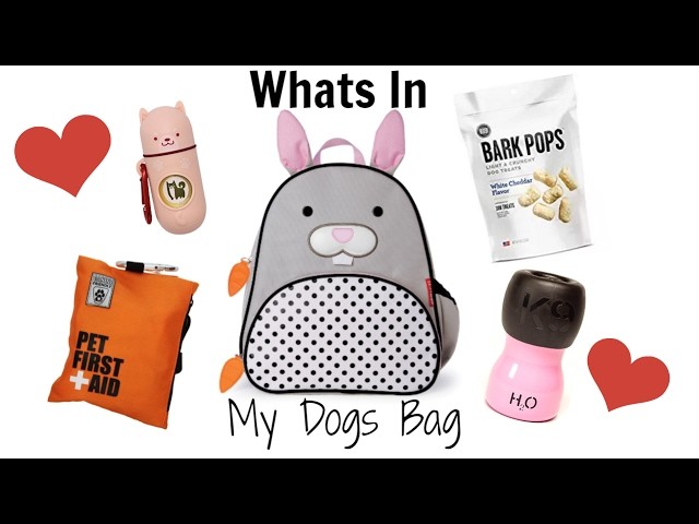 What's In My Dog's Bag