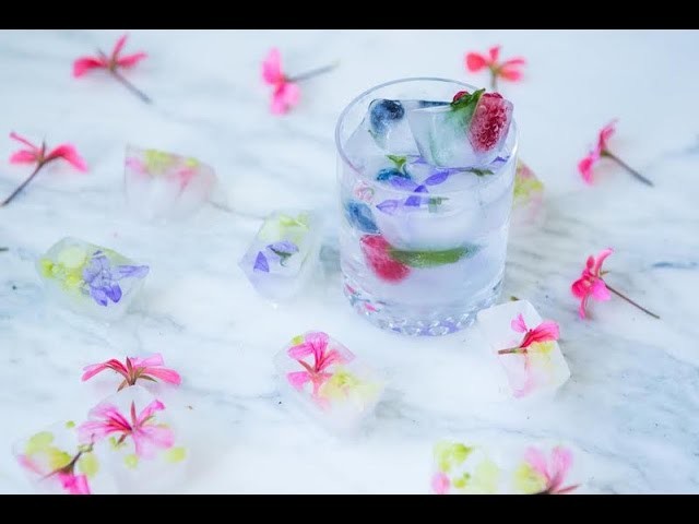 How to: Fancy Fruit and Floral Ice cubes