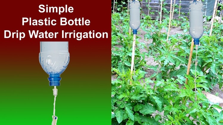 Plastic Bottle Drip Water Irrigation Simple and Effective