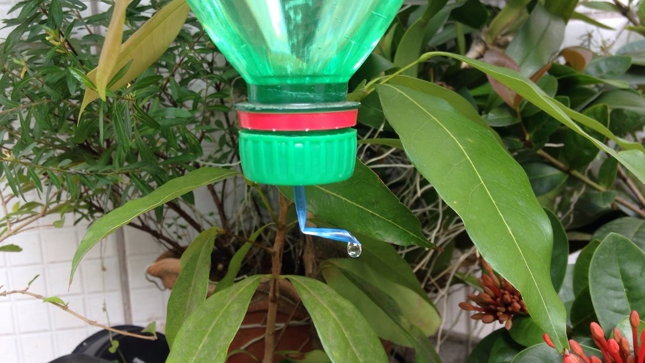 Soda Bottle Watering Sistem Make a Sustainable Drip Water Irrigation