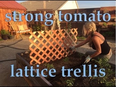 Strong lattice trellis - tomato support, vegetable vertical gardening
