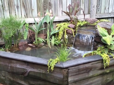 Tiny Backyard Pond | Water Gardens Maryland | Water Garden ideas for your MD backyard |
