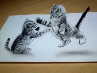 Cute Cat Drawing 3D Anamorphic illusion