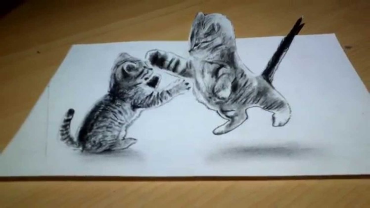 Cute Cat Drawing 3D Anamorphic illusion