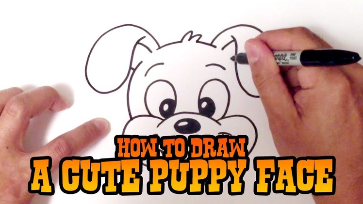 How to Draw a Cute Puppy Face - Step by Step