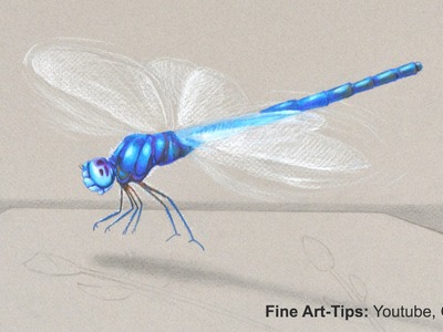 How to Draw a Dragon Fly in 3D - My tips to draw better