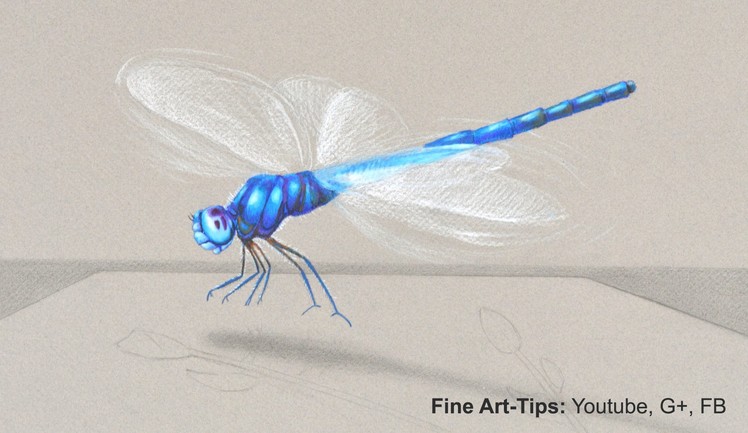 How to Draw a Dragon Fly in 3D - My tips to draw better