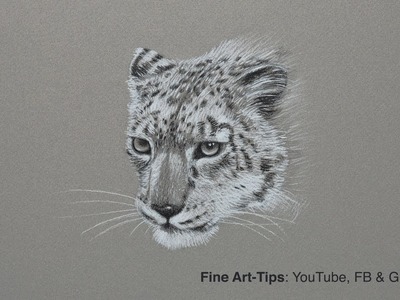How to Draw a Snow Leopard - Narrated