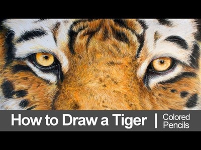 How to Draw a Tiger with Colored Pencils