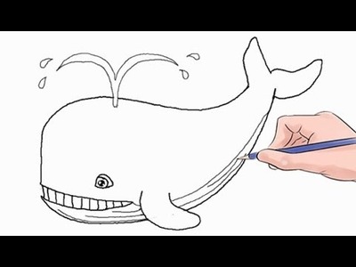 How to Draw a Whale Easy Step by Step