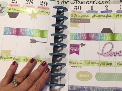 Plan With Me - MAMBI Create 365 Happy Planner & June Flip Through