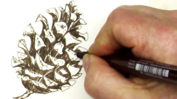 Fun and Easy How to Draw a Pinecone with a Pen