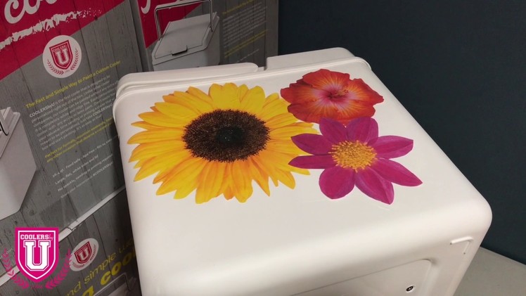 How to Put Images on a Cooler with Mod Podge or Varnify