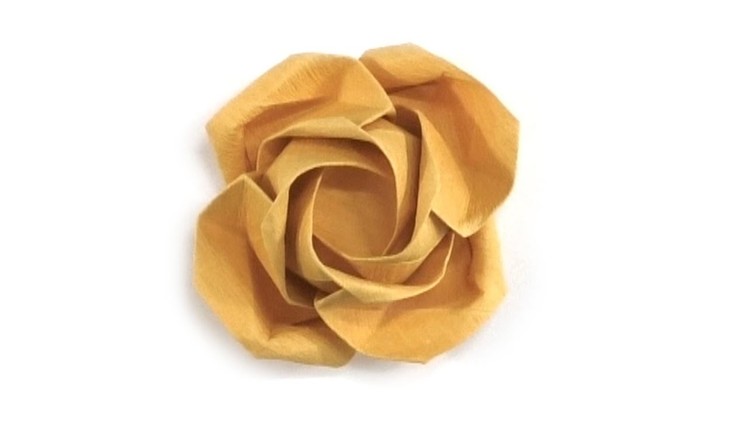Learn how to make a  beauteous origami rose