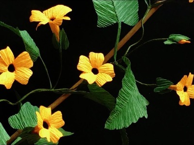 ABC TV | How To Make Black Eyed Susan Vine Paper Flower - Craft Tutorial