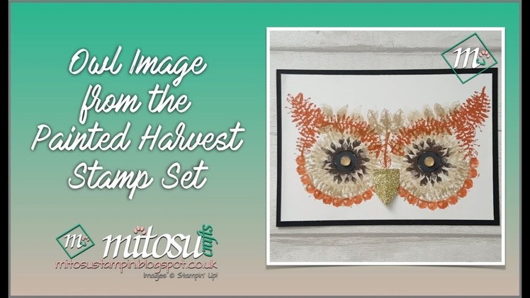 How To Create an Owl Image from Painted Harvest by Stampin' Up!