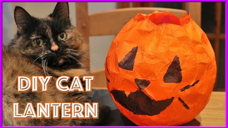 How To Make Halloween Lantern | DIY Cat Jack'o Lantern | Easy DIY Paper Cat Lantern!