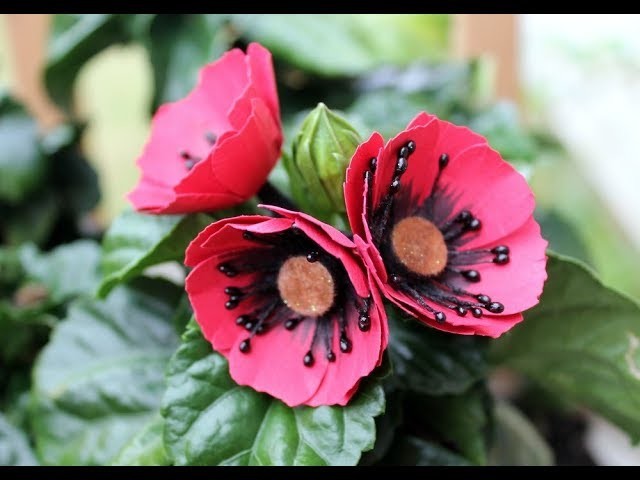 How to make paper Poppies by Archana Joshi ( Follow The Flower Friday)