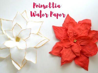 Wafer Paper Poinsettia Tutorial - Coloring Wafer paper