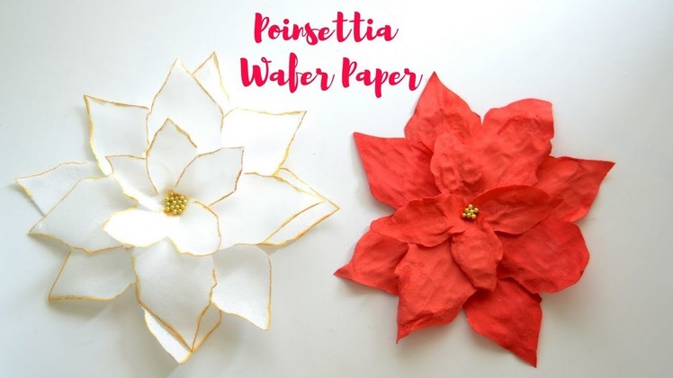 Wafer Paper Poinsettia Tutorial - Coloring Wafer paper