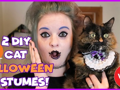 2 Easy DIY Halloween Costumes for Your Cat | DIY Cat Halloween | Easy DIY Cat Halloween Costumes